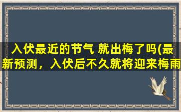 入伏最近的节气 就出梅了吗(最新预测，入伏后不久就将迎来梅雨季节！)